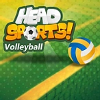 Head Sports Volleyball