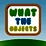 What the objects